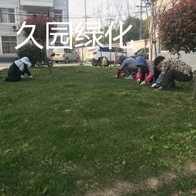久园绿化养护