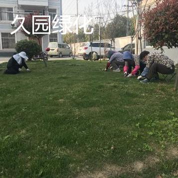 久园绿化养护