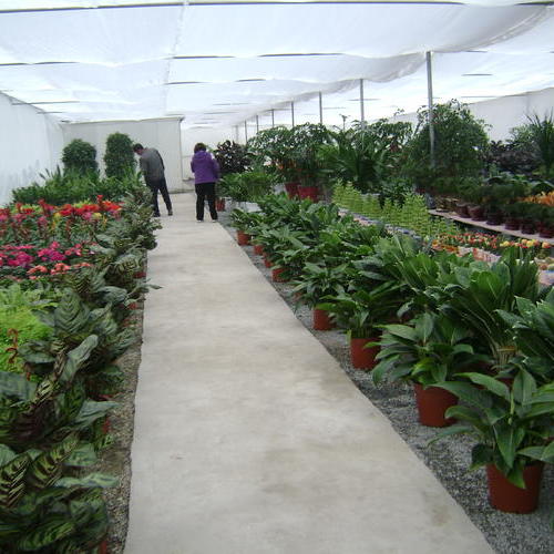 上海久园绿化工程有限公司