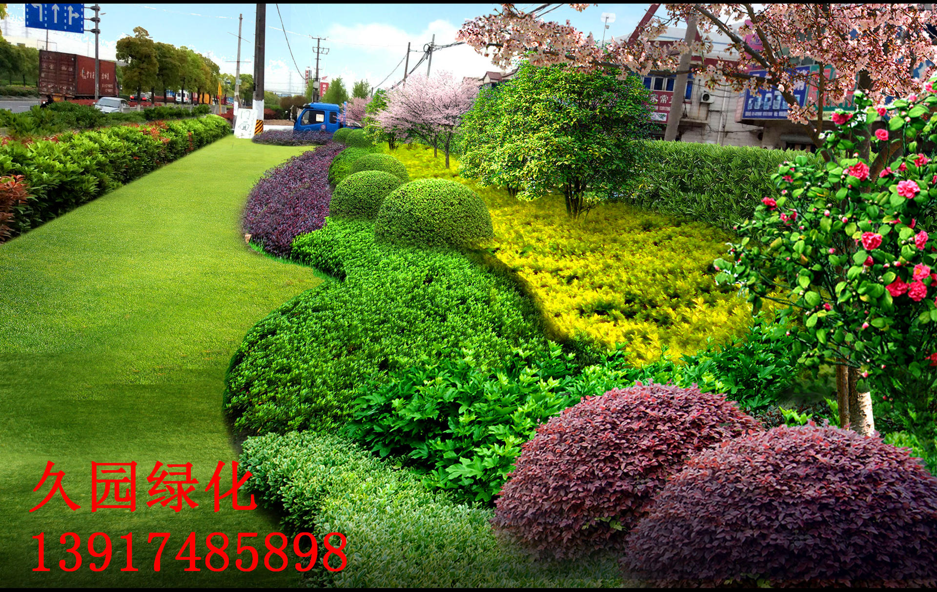 青浦区华新镇纪鹤路沿线绿化