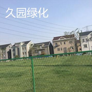 华新镇马阳村新农村建设绿化项目