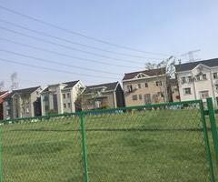 华新镇马阳村新农村建设绿化项目