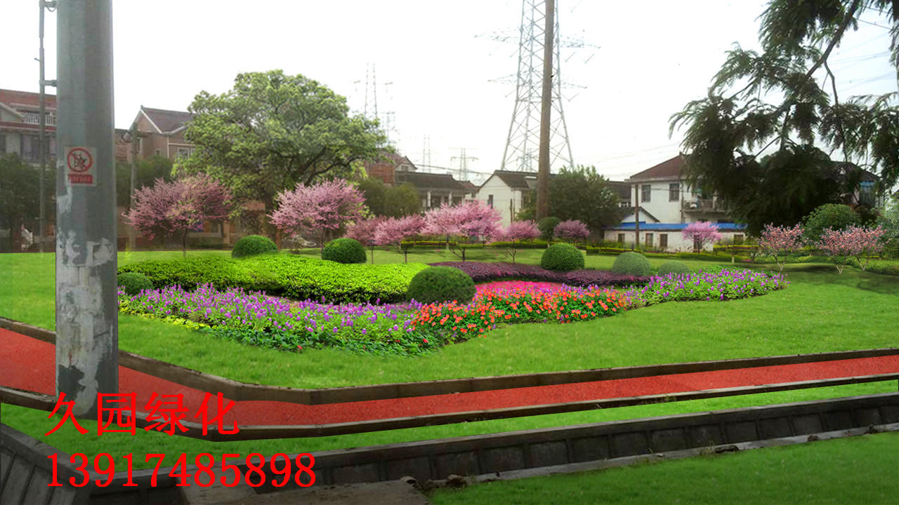青浦区华新镇马阳村绿化